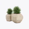 Kraft Paper Bags